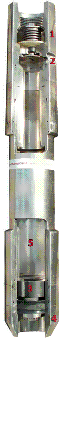 壹号娱乐 - NG大舞台,有梦你就来