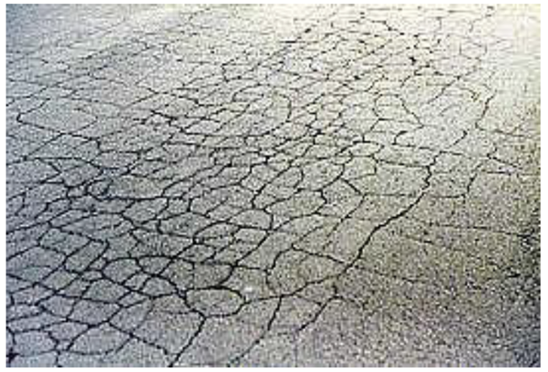 壹号娱乐 - NG大舞台,有梦你就来