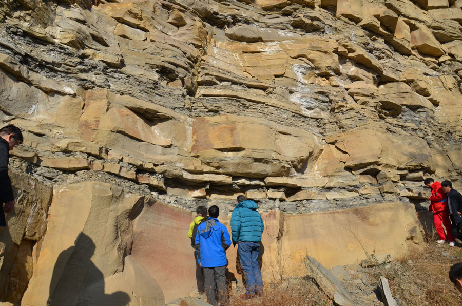 壹号娱乐 - NG大舞台,有梦你就来