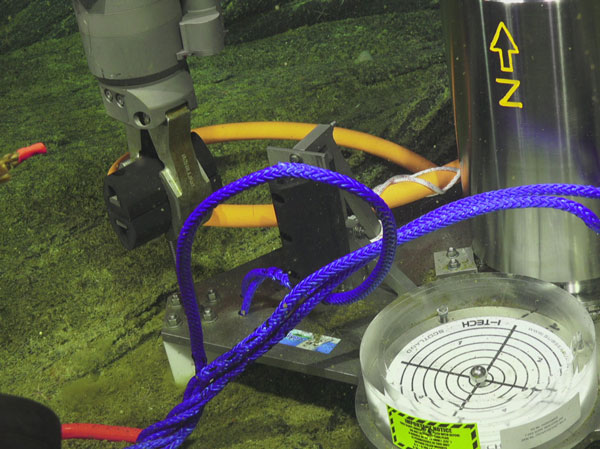 壹号娱乐 - NG大舞台,有梦你就来